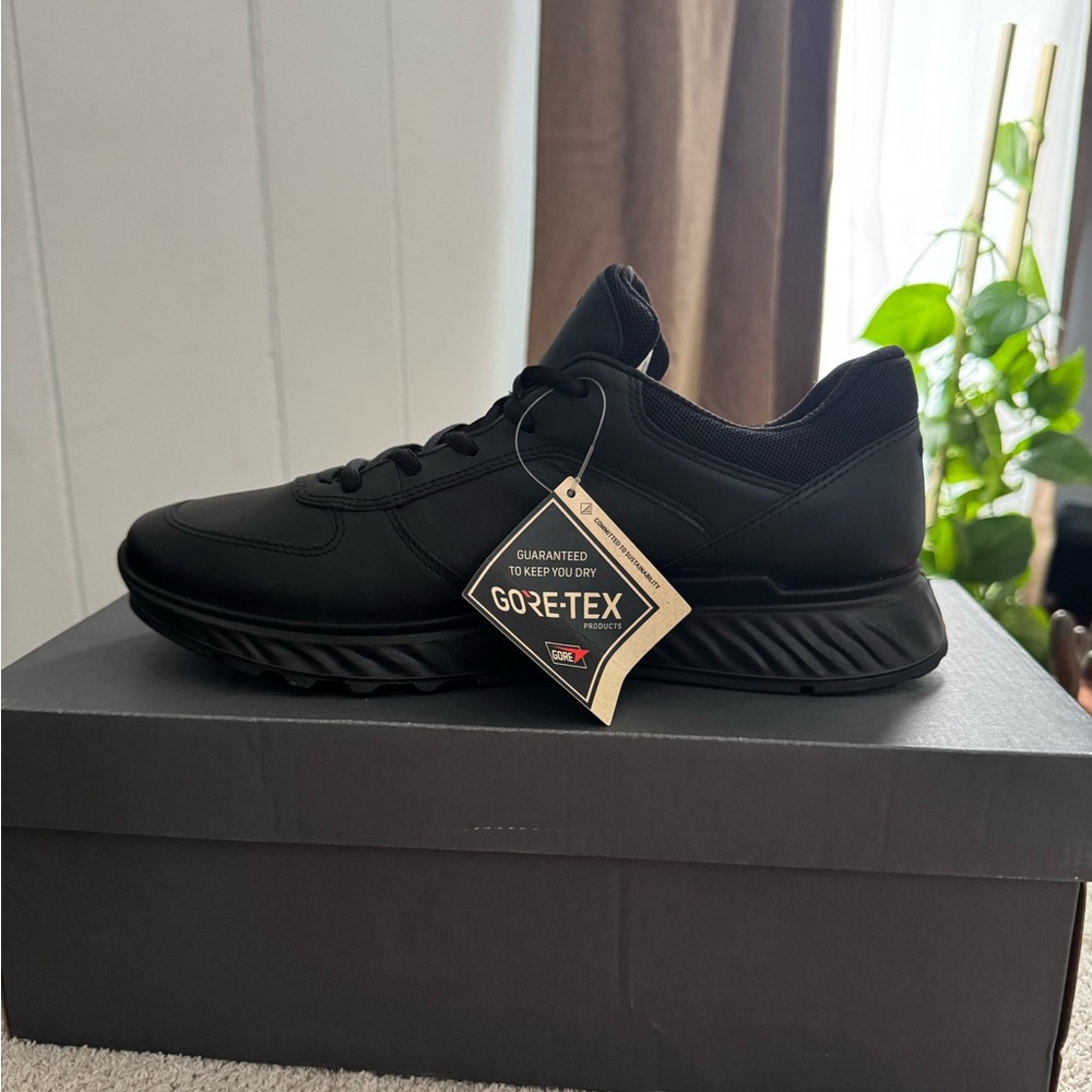 GORE-TEX Men's Black Shoes